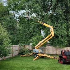  Canonsburg, PA Tree Services Pros