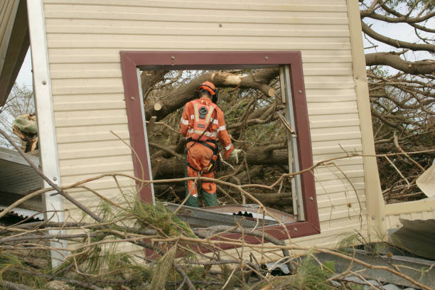 Best Tree Mulching  in Canonsburg, PA